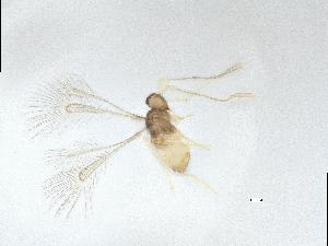  ( - QMOR88382)  @11 [ ] Unspecified (default): All Rights Reserved  Unspecified Unspecified