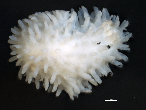  ( - CCDB22758-H04)  @12 [ ] CreativeCommons - Attribution (2014) CBG Photography Group Centre for Biodiversity Genomics