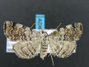  ( - DH012248)  @14 [ ] Unspecified (default): All Rights Reserved  Unspecified Unspecified