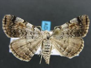  ( - DH012468)  @14 [ ] Unspecified (default): All Rights Reserved  Unspecified Unspecified