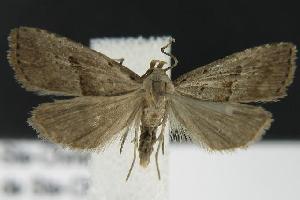  ( - DH013173)  @13 [ ] Unspecified (default): All Rights Reserved  Unspecified Unspecified