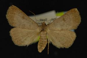  ( - NOC14188)  @13 [ ] Unspecified (default): All Rights Reserved  Unspecified Unspecified