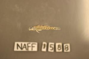  ( - NAFF 1588)  @12 [ ] Unspecified (default): All Rights Reserved  Unspecified Unspecified
