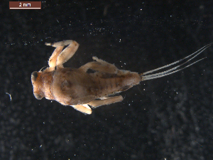  ( - BIOUG00641-C03)  @11 [ ] CreativeCommons - Attribution (2011) Centre for Biodiversity Genomics Centre for Biodiversity Genomics