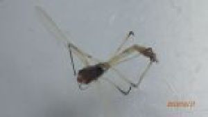  ( - DICH_SVIP_05)  @11 [ ] Creative Commons-Attribution Non Commercial-Share Alike (2022) Lujza Keresztes Unspecified
