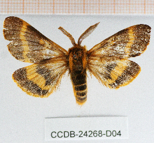  ( - CCDB-24268-D04)  @11 [ ] CreativeCommons  Attribution Non-Commercial Share-Alike (2016) Cristian Sitar Unspecified