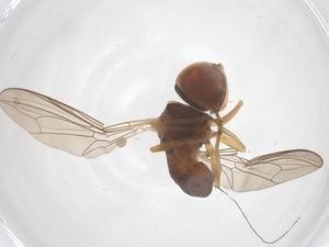  ( - BIOUG22466-C04)  @11 [ ] CreativeCommons - Attribution Share - Alike (2025) Centre for Biodiversity Genomics Centre for Biodiversity Genomics