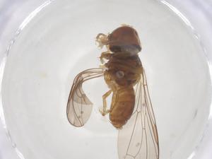  ( - BIOUG22468-A09)  @11 [ ] CreativeCommons - Attribution Share - Alike (2025) Centre for Biodiversity Genomics Centre for Biodiversity Genomics