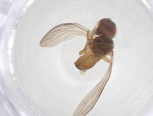  ( - BIOUG22573-C12)  @11 [ ] CreativeCommons - Attribution Share - Alike (2025) Centre for Biodiversity Genomics Centre for Biodiversity Genomics