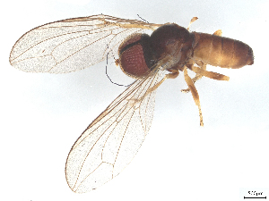  ( - BIOUG22872-B12)  @11 [ ] CreativeCommons - Attribution (2025) CBG Photography Group Centre for Biodiversity Genomics