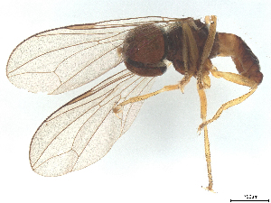  ( - BIOUG23415-B01)  @11 [ ] CreativeCommons - Attribution (2025) CBG Photography Group Centre for Biodiversity Genomics