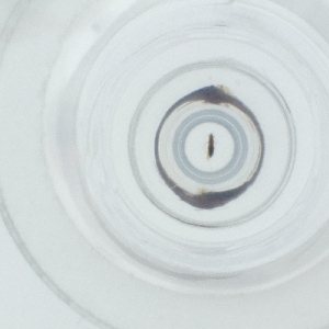  ( - RRNW_168_B11)  @11 [ ] by  Genome Research Ltd as Wellcome Sanger Institute Genome Research Limited operating as Wellcome Sanger Institute