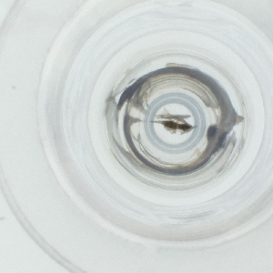  ( - RRNW_168_B9)  @11 [ ] by  Genome Research Ltd as Wellcome Sanger Institute Genome Research Limited operating as Wellcome Sanger Institute