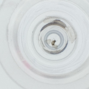  ( - RRNW_172_E10)  @11 [ ] by  Genome Research Ltd as Wellcome Sanger Institute Genome Research Limited operating as Wellcome Sanger Institute