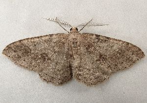  ( - RWWA-0017)  @13 [ ] Copyright (2010) Unspecified Unspecified