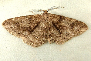  ( - RWWA-0100)  @13 [ ] Copyright (2010) Unspecified Unspecified