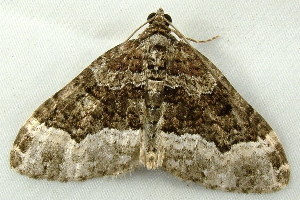  ( - RWWA-0659)  @13 [ ] Copyright (2010) Unspecified Unspecified