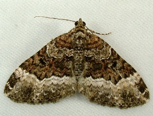  ( - RWWA-0717)  @13 [ ] Copyright (2010) Unspecified Unspecified