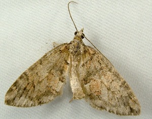  ( - RWWA-0896)  @13 [ ] Copyright (2010) Unspecified Unspecified