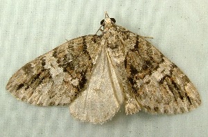  ( - RWWA-0928)  @13 [ ] Copyright (2010) Unspecified Unspecified