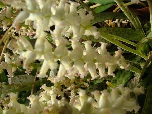  ( - UFS043)  @11 [ ] Unspecified (default): All Rights Reserved  Unspecified Unspecified