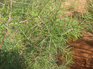  ( - Abbott9226)  @11 [ ] No Rights Reserved  Unspecified Unspecified