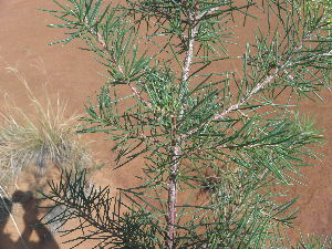  ( - Abbott9226)  @11 [ ] No Rights Reserved  Unspecified Unspecified