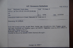  ( - K-0258)  @11 [ ] No Rights Reserved  Unspecified Unspecified