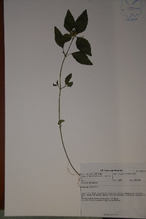  ( - K-0512)  @11 [ ] No Rights Reserved  Unspecified Unspecified