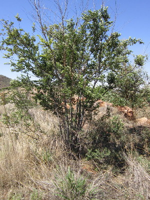  ( - KMS-0180)  @11 [ ] No Rights Reserved  Unspecified Unspecified