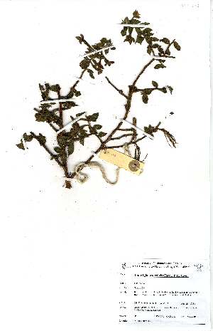  ( - OM0213)  @11 [ ] Unspecified (default): All Rights Reserved  Unspecified Unspecified