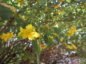  ( - PPRI-0032)  @11 [ ] No Rights Reserved  Unspecified Unspecified