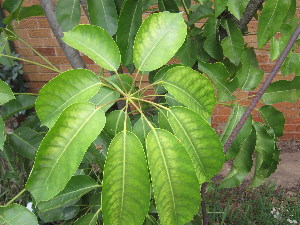  ( - PPRI-0127)  @11 [ ] No Rights Reserved  Unspecified Unspecified