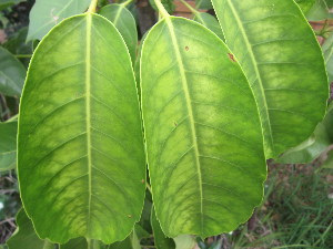  ( - PPRI-0127)  @11 [ ] No Rights Reserved  Unspecified Unspecified