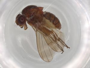  ( - BIOUG91643-B01)  @11 [ ] CreativeCommons - Attribution (2022) Centre for Biodiversity Genomics Centre for Biodiversity Genomics