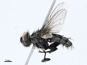  ( - CBG-A01202-D09)  @11 [ ] CreativeCommons - Attribution (2023) CBG Photography Group Centre for Biodiversity Genomics