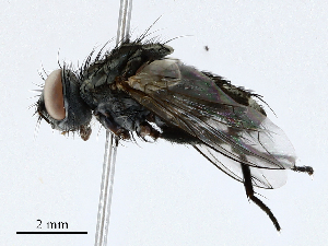  ( - CBG-A01203-G06)  @11 [ ] CreativeCommons - Attribution (2023) CBG Photography Group Centre for Biodiversity Genomics