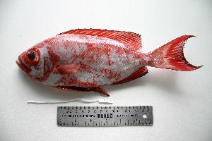  ( - SAIAB 77795-T47)  @11 [ ] Unspecified (default): All Rights Reserved  Unspecified Unspecified