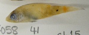  ( - GP8-661)  @12 [ ] Unspecified (default): All Rights Reserved  Unspecified Unspecified