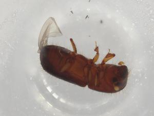  ( - BIOUG97911-E01)  @11 [ ] CreativeCommons - Attribution (2023) Centre for Biodiversity Genomics Centre for Biodiversity Genomics