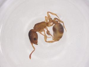  ( - CBG-B05220-B08)  @11 [ ] CreativeCommons - Attribution Share - Alike (2025) Centre for Biodiversity Genomics Centre for Biodiversity Genomics