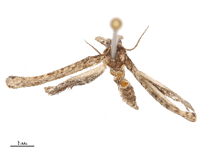  ( - CBG-B00187-F07)  @11 [ ] CreativeCommons - Attribution Share - Alike (2025) CBG Photography Group Centre for Biodiversity Genomics