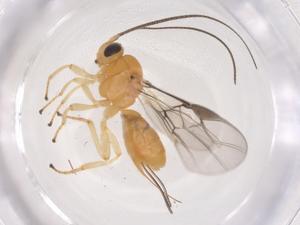  ( - CBG-B23730-G11)  @11 [ ] CreativeCommons - Attribution Share - Alike (2025) Centre for Biodiversity Genomics Centre for Biodiversity Genomics