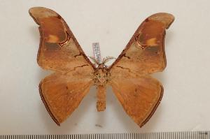  ( - BC-Basq1025)  @13 [ ] Copyright (2010) Patrick Basquin Research Collection of Patrick Basquin