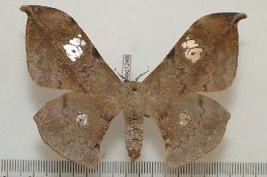  ( - BC-Basq1246)  @14 [ ] Copyright (2010) Patrick Basquin Research Collection of Patrick Basquin