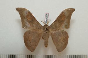  ( - BC-Basq1367)  @14 [ ] Copyright (2010) Patrick Basquin Research Collection of Patrick Basquin