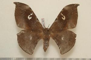  ( - BC-Basq1387)  @13 [ ] Copyright (2010) Patrick Basquin Research Collection of Patrick Basquin