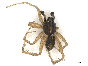  ( - CBG-A67019-A03)  @11 [ ] CreativeCommons - Attribution Share - Alike (2025) CBG Photography Group Centre for Biodiversity Genomics