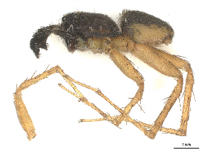  ( - CBG-A67020-H06)  @11 [ ] CreativeCommons - Attribution Share - Alike (2025) CBG Photography Group Centre for Biodiversity Genomics