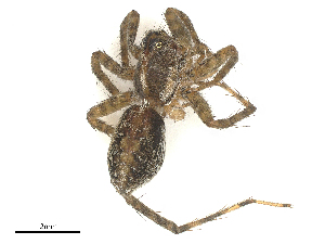  ( - CBG-A67021-B09)  @11 [ ] CreativeCommons - Attribution Share - Alike (2025) CBG Photography Group Centre for Biodiversity Genomics